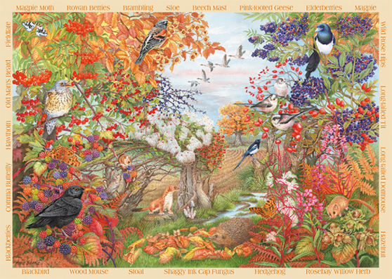 500 Piece - Autumn Hedgerow Falcon Jigsaw Puzzle 11270 - Image 2