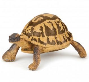 Tortoise Papo Figure - 50264 - Image 1
