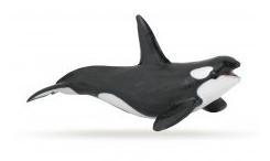 Killer Whale Papo Figure - 56000 - Image 1