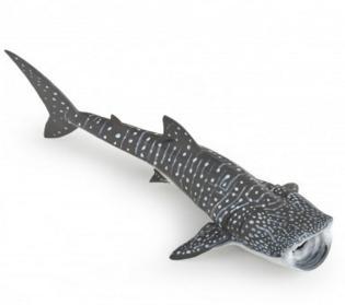 Whale Shark Papo Figure - 56039 - Image 1