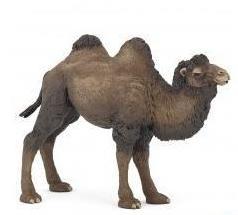 Bactrian Camel Papo Figure - 50129 - Image 1