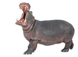 Hippopotamus Papo Figure - 50051 - Image 1