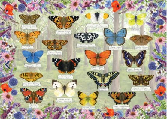 1000 Piece - Beautiful Butterflies Gibsons Jigsaw Puzzle: G6366 - Image 1