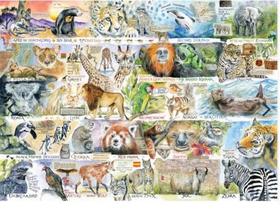 1000 Piece - Sun Bears & Sloths Gibsons Jigsaw Puzzle G7134 - Image 1